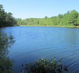 Russell Mill Pond