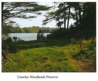 Crawley Woodlands Preserve Lake