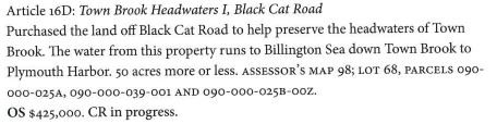 Article 16D Town Brook Headwaters 1 Black Cat Road