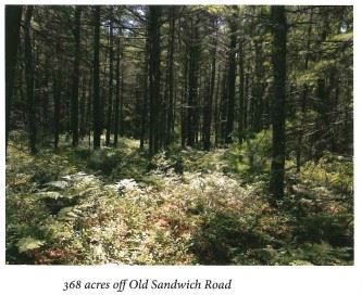 Off Old Sandwich Road