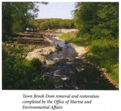 Town Brook Dam