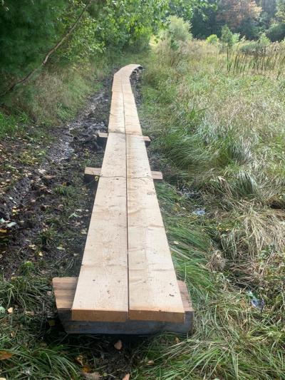 Eel River Preserve Boardwalk