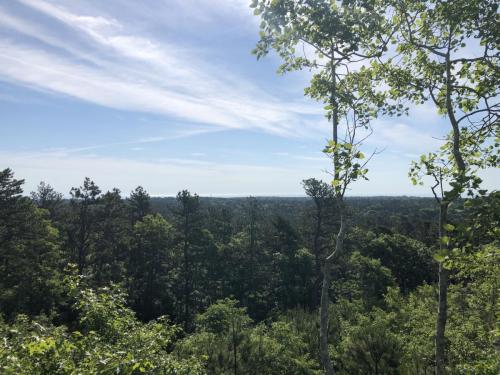 Dixon Preserve at Hio Hill