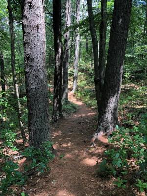 Crawley Woodlands Preserve