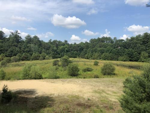 Clear Pond Conservation Area