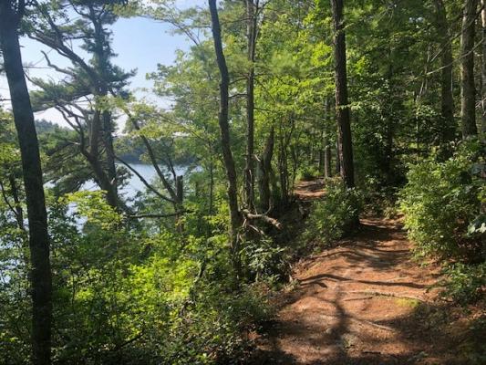 Beaver Dam Trail Along Island Pond