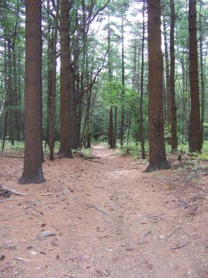 Russell and Sawmill Ponds Conservation Area