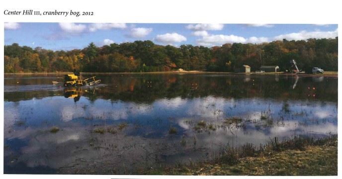 Center Hill Cranberry Bog