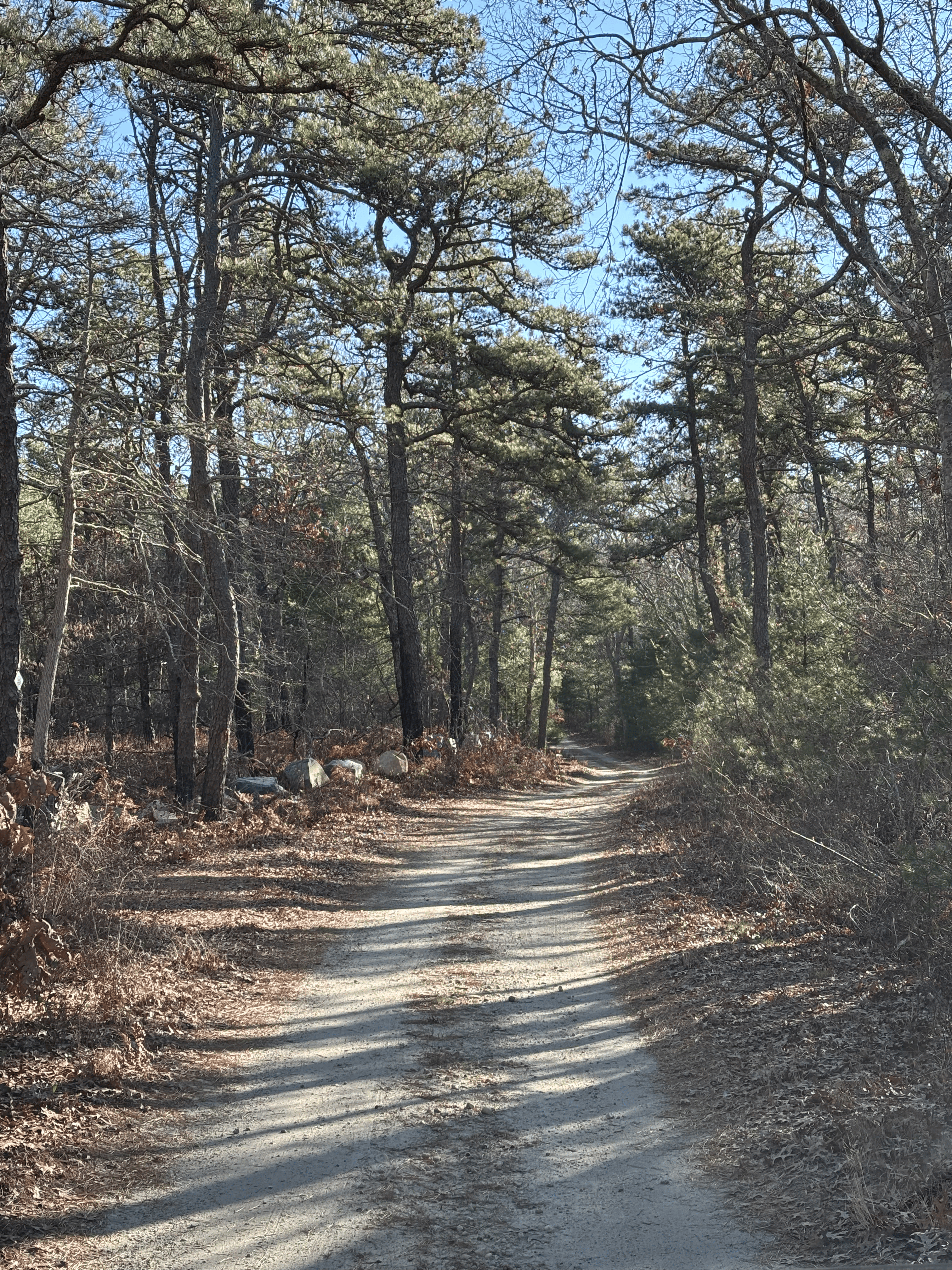 Dirt road trail