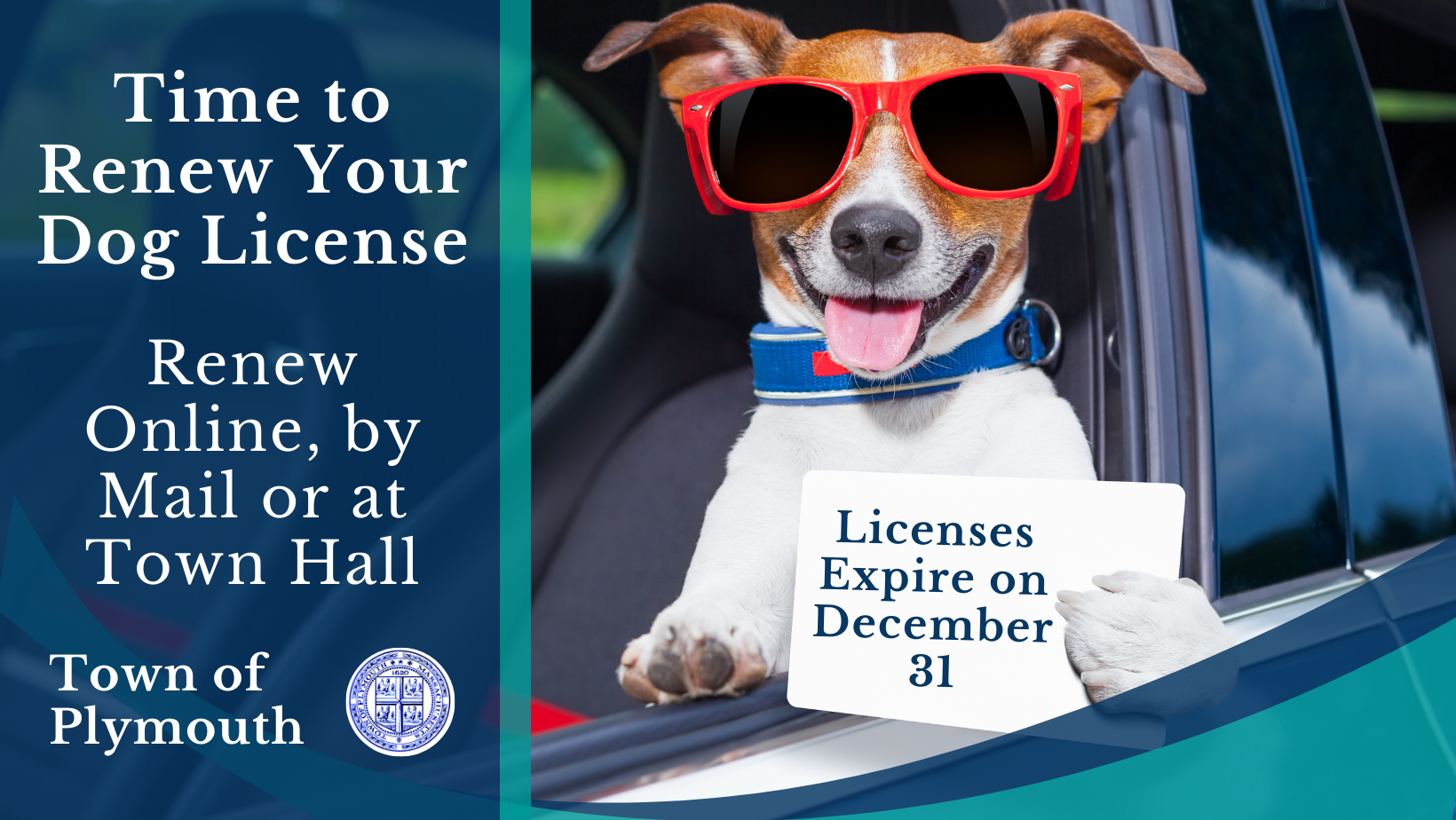Dog License Renewal 2022