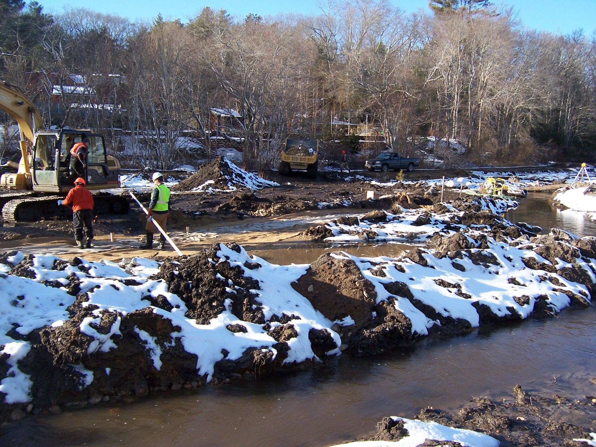 Eel River bog restoration