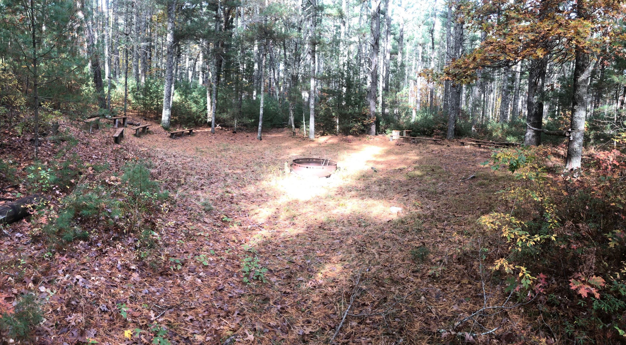 2022-11-01 BSA buildings 1